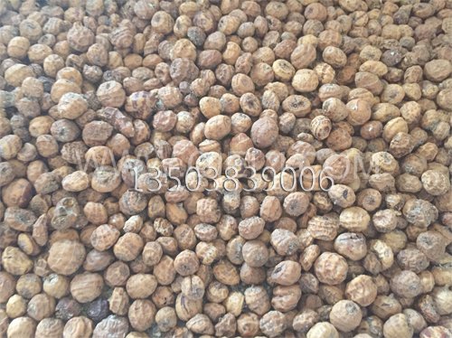 油莎豆榨油設(shè)備 冷榨莎豆油成套設(shè)備(圖2) 油莎豆榨油設(shè)備 冷榨莎豆油成套設(shè)備(圖2)