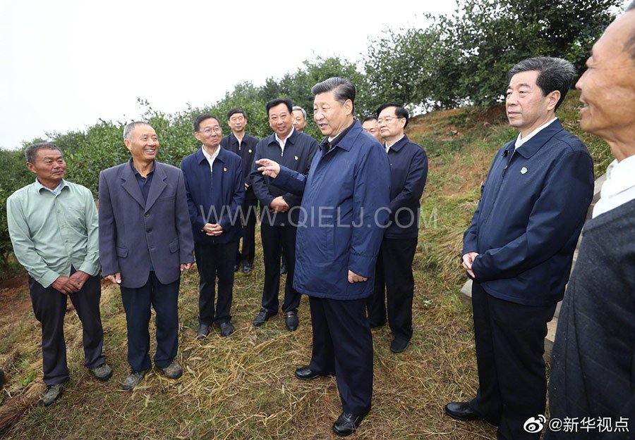 光山油茶籽榨油設(shè)備,山茶籽油榨油機廠家(圖3) 光山油茶籽榨油設(shè)備,山茶籽油榨油機廠家(圖3)