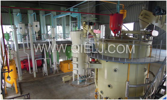 新聞聯播決戰決勝脫貧攻堅之油茶樹串起的產業鏈(圖9) 新聞聯播決戰決勝脫貧攻堅之油茶樹串起的產業鏈(圖9)